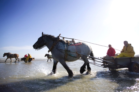 Voyages de groupe en Belgique