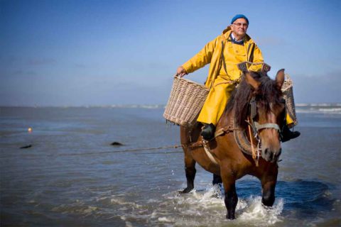 Belgian Coast Day Trip